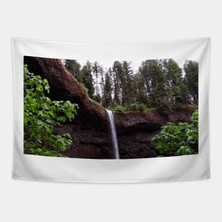 Silver Falls State Park Oregon Tapestry