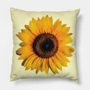 Big Sunflower Blooming Pillow