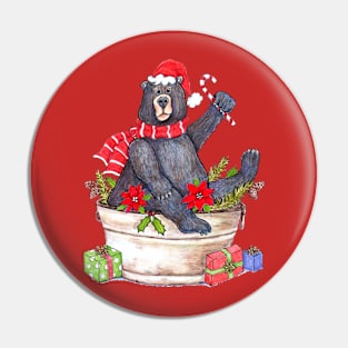 Merry Beary Christmas Pin