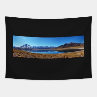 Lagunas Altiplanicas Tapestry