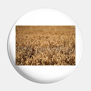 Ripe wheat field Pin