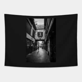 Street shot Tapestry