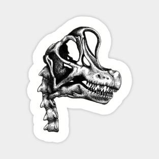 Brachiosaurus Skull Magnet