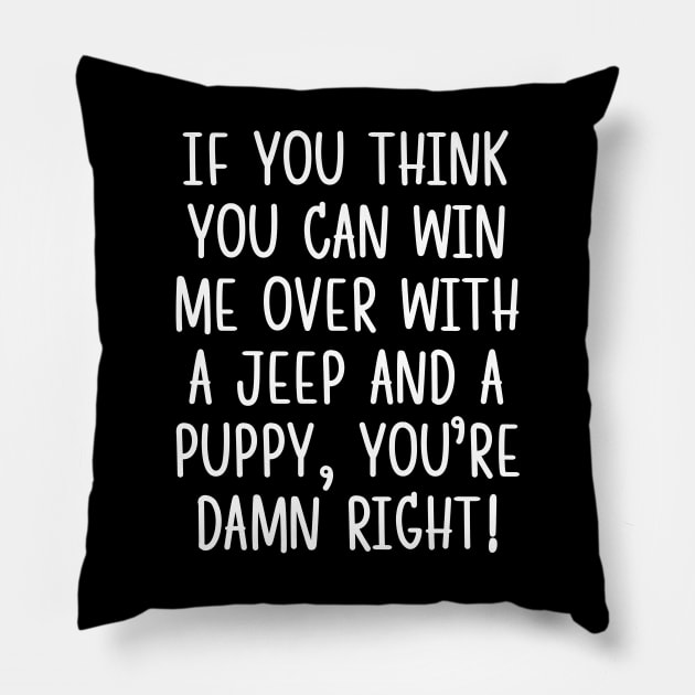 You're damn right! Pillow by mksjr