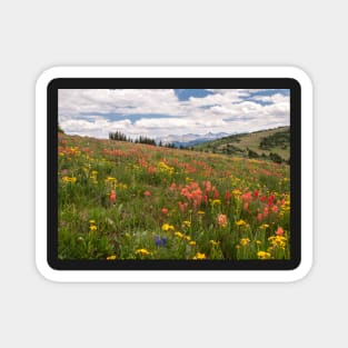 Colorful Summer in the mountains Magnet