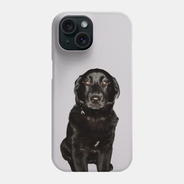 Black Lab Beauty Phone Case by PandLCreations