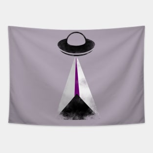 Gaylien Demisexual Pride UFO Tapestry