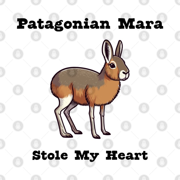 Patagonian Mara by dinokate