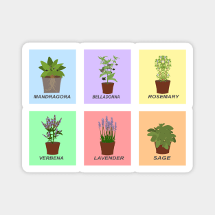 Potted plants Magnet