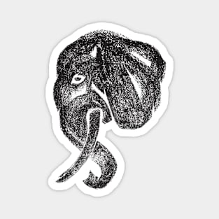 Side profile of an intelligent animal, elephant head in charcoal medium Magnet