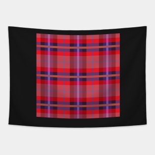 Checkered Plaid. Traditional Scottish ornament. Tapestry