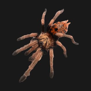 GBB Tarantula Chromatopelma cyaneopubescens T-Shirt