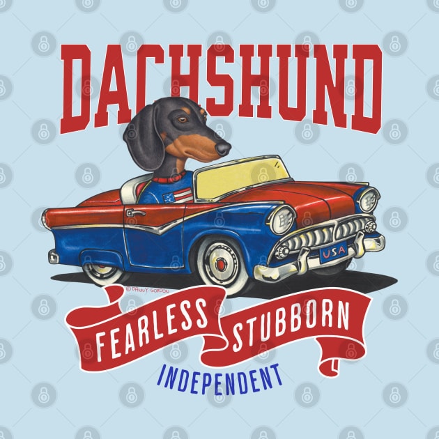 Funny and Cute Doxie Dachshund dog in a classic vintage retro car with red white and blue banner flags by Danny Gordon Art