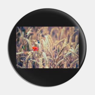 Wild Poppy in the Wheat Field Pin