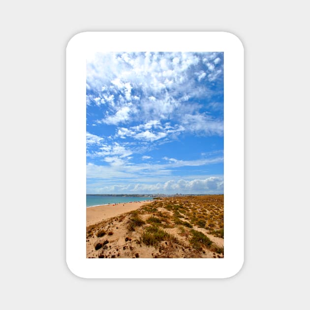 Praia dos Salgados Beach The Algarve Portugal Magnet by AndyEvansPhotos