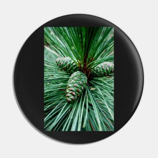 Pine Cones Pin