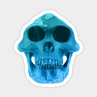 Australopithecus Afarensis "Lucy" Fossil Skull Magnet