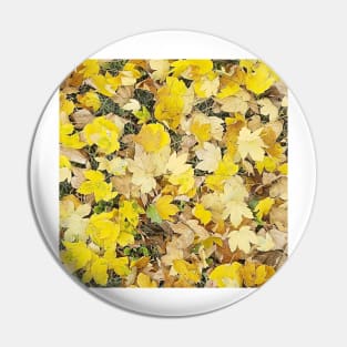 Yellow Maple Tree Leaves Pin