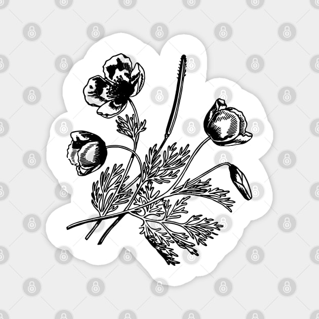 black flower leaf line art design Magnet by creatilory