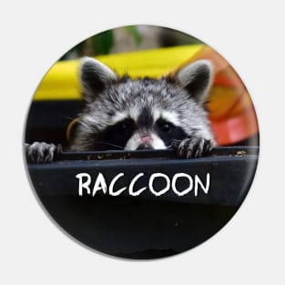 Raccoon Pin