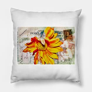 Gerbera Daisy on Vintage Postcard Pillow