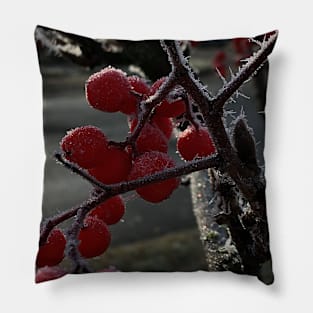 Frosty Mountain Ash Berries Pillow