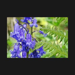 Bluebells in the Ferns T-Shirt