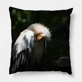 Egyptian Vulture Pillow