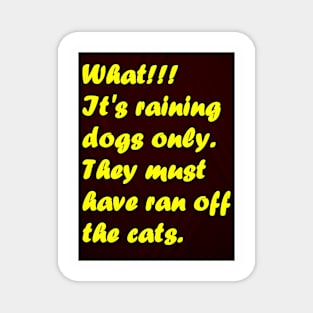 ITS RAINING DOGS ONLY Magnet