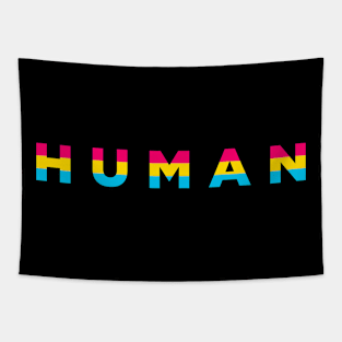 Human Humanity Pride Flag Pansexual Tapestry