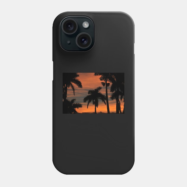 Royal Palm Sunset Phone Case by dltphoto