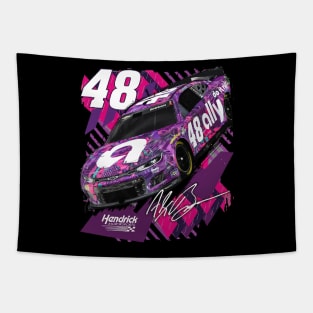 Alex Bowman Charcoal Ally Tapestry