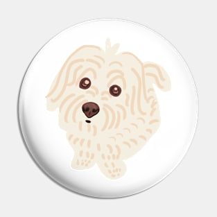 Cute Maltipoo Looking Innocent Pin