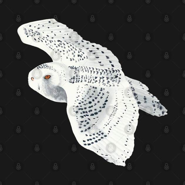 Snowy Owl by Lara Plume