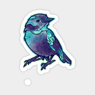 aqua blue little cute bird Magnet