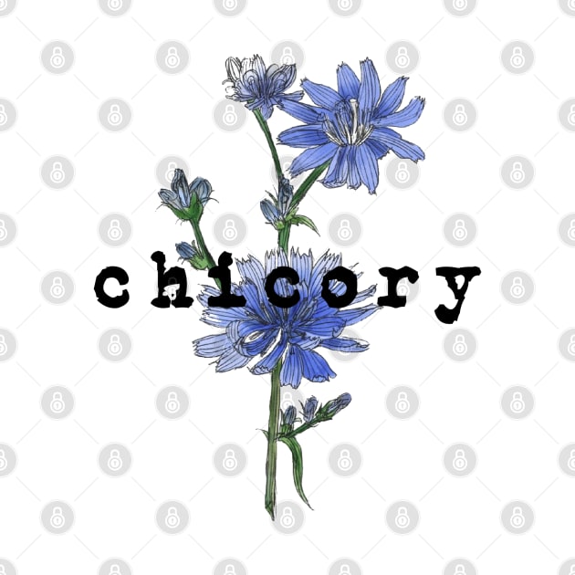 Vintage Florals Retro Chicory Flower by tracey