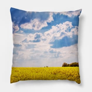 Flower Field (Warm) Pillow