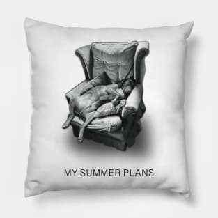 My Summer Plans | Hound Dog Humor | Funny T-shirts Pillow