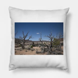 850_3881 Pillow