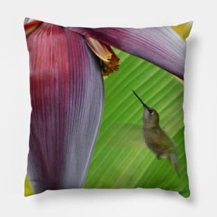 Hovering hummingbird Pillow