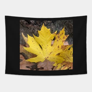 Fall is in the Air Tapestry