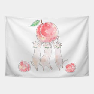 Peach Kittens Tapestry