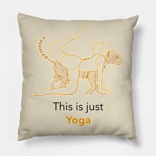 This is just yoga Pillow