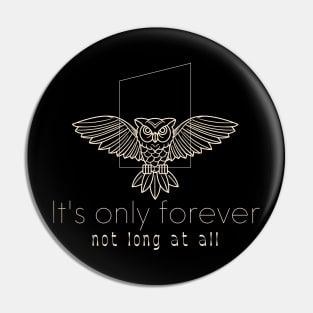 It's only forever Pin