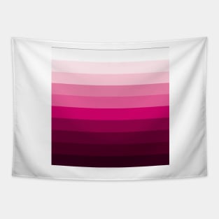 Colour Palette pink Tapestry