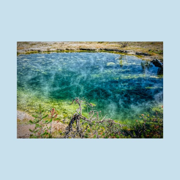 Leather Pool Yellowstone Wyoming by Debra Martz by Debra Martz