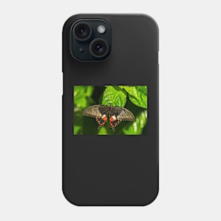 Butterfly on a Leaf Phone Case