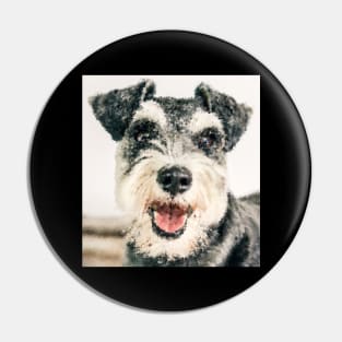 Painting-like Schnauzer looking at you Pin