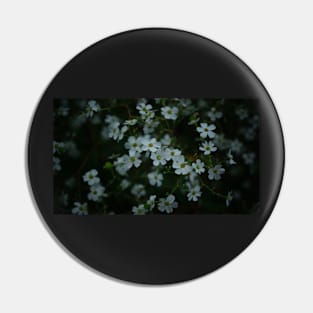 Tiny White Flowers Pin