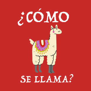 ¿Cómo se llama? T-Shirt